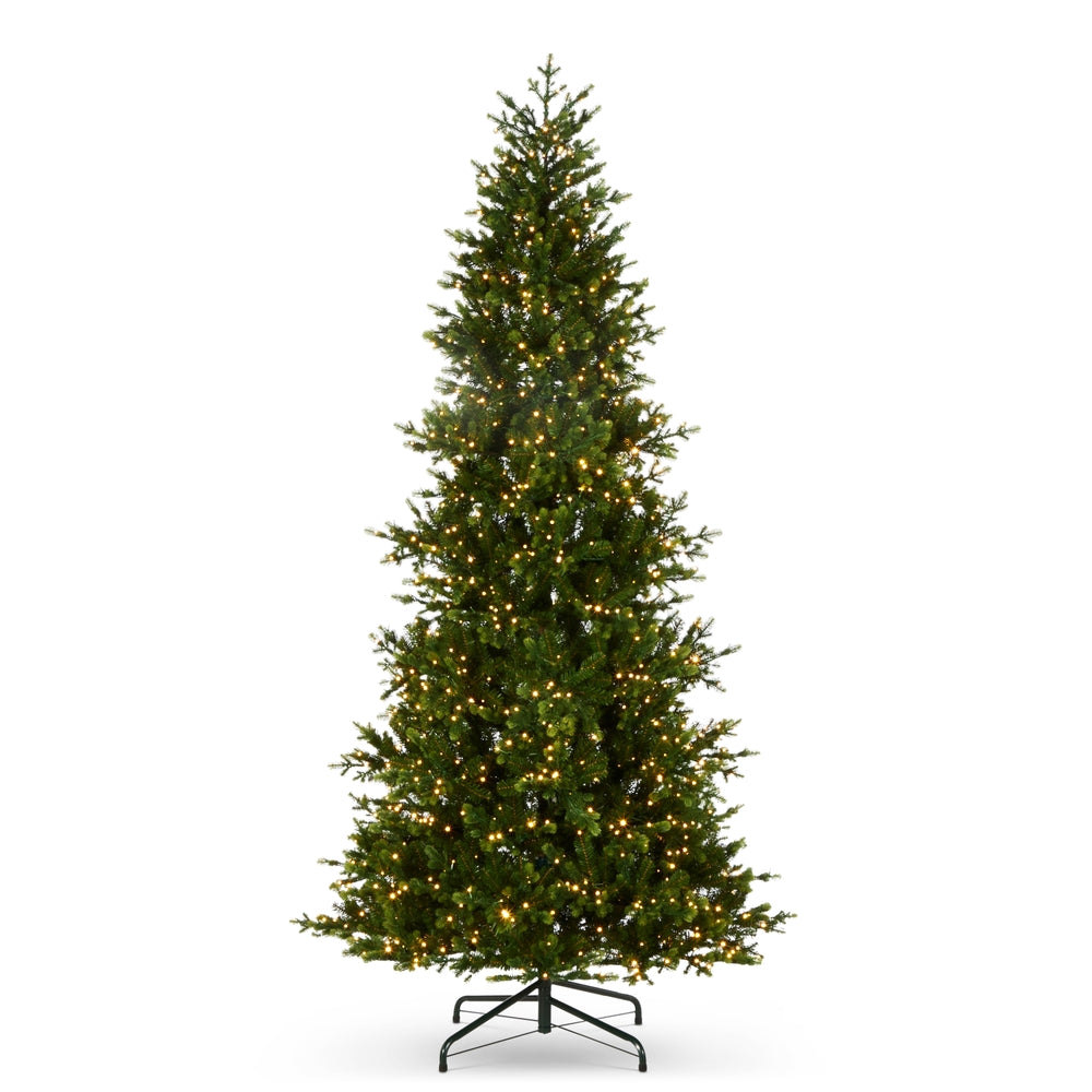 RAZ 9-foot Norway Spruce tree