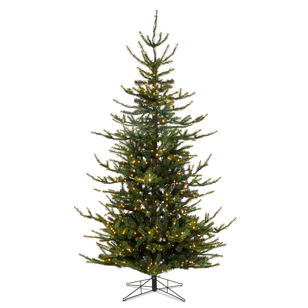 RAZ 7.5-foot Rocky Mountain Spruce tree