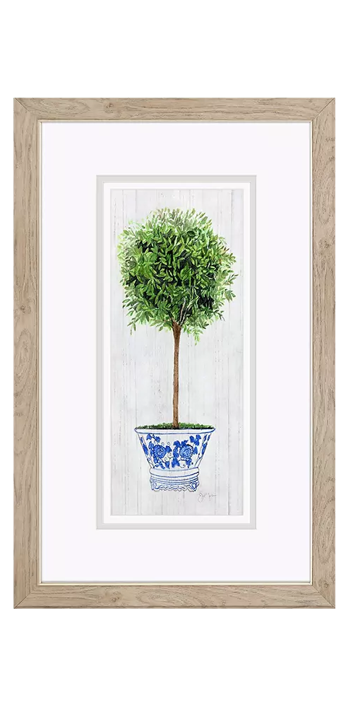 Rosemary Thyme topiary in a floral pot with green foliage.
