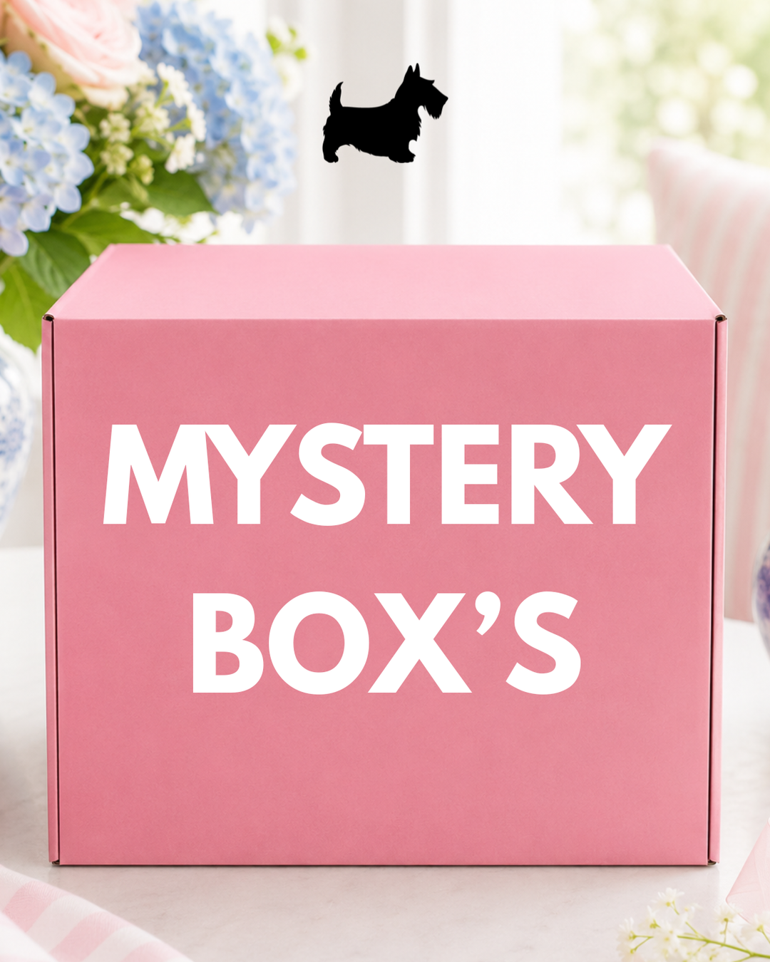 MYSTERY BOX