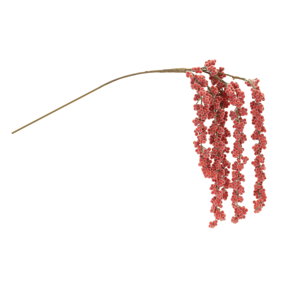 Icy Hanging Berry Branch with frosted red berries cascading from a brown stem.