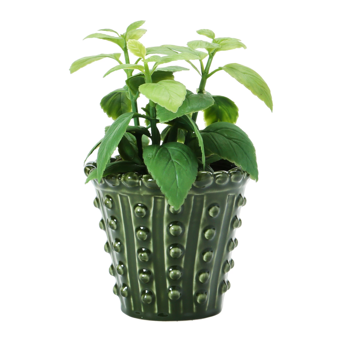 Round green stoneware hobnail planter with solid bottom holding a small succulent.