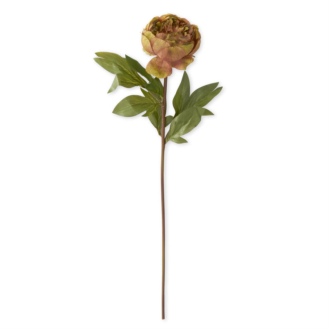Faux dried peony stem with realistic petals in warm muted tones on a white background.