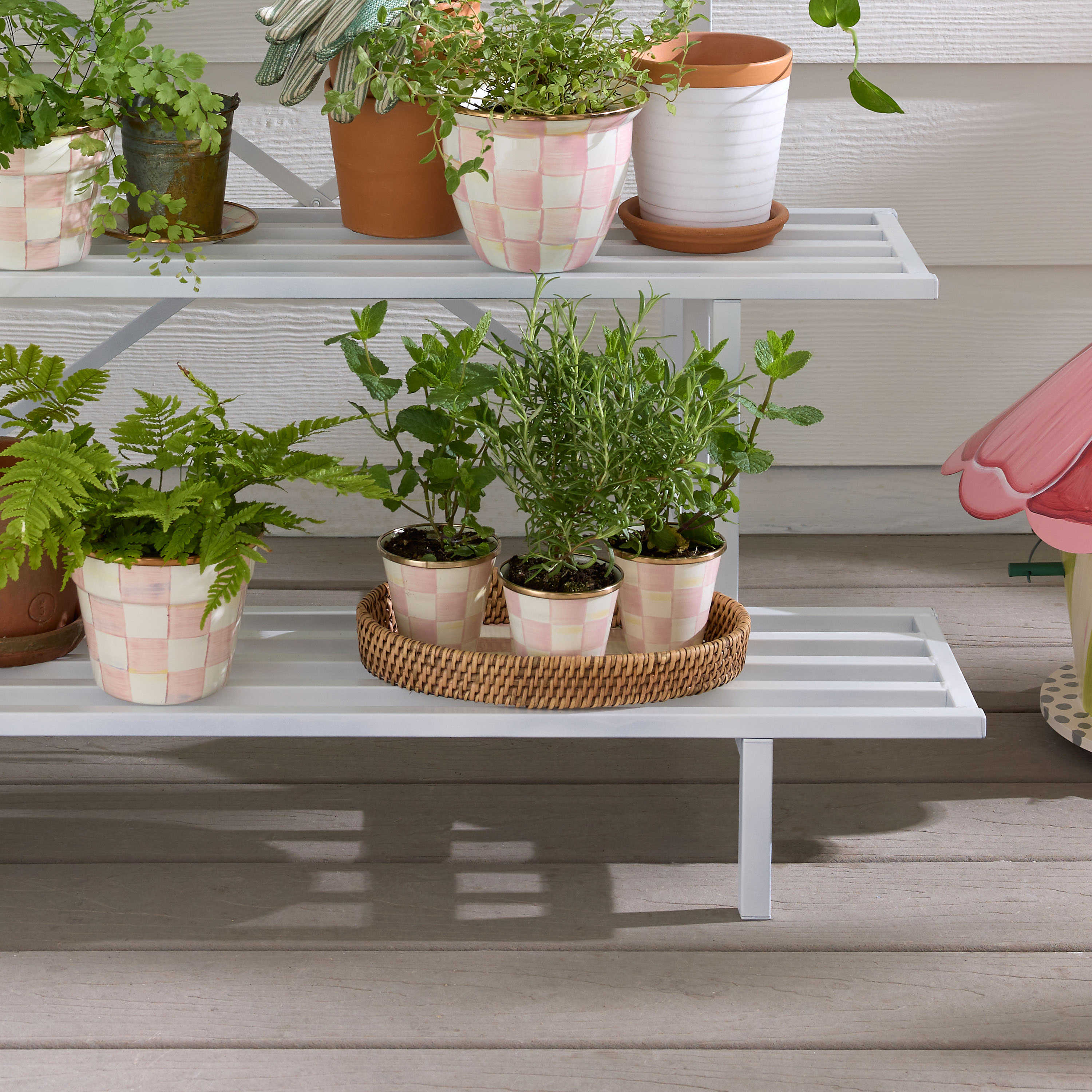 Small hand-painted pink and white checkered herb pots on a white tiered garden shelf.