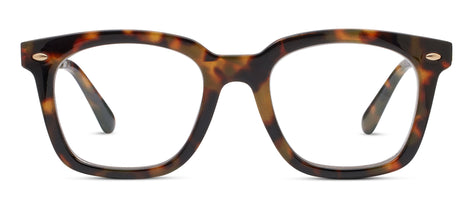Blue Light Focus™ eyeglasses with clear lenses in a modern frame silhouette.