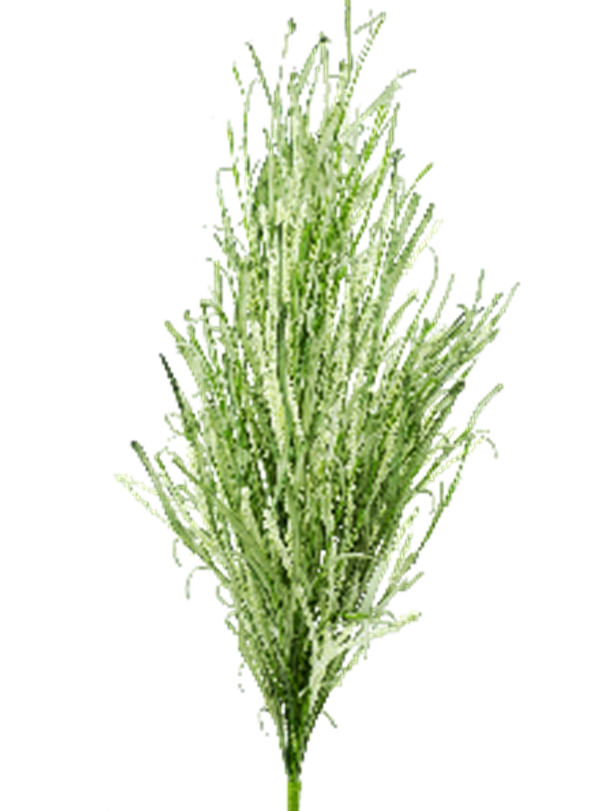 32-inch Berry Leaf Bush with green foliage in a natural bush shape
