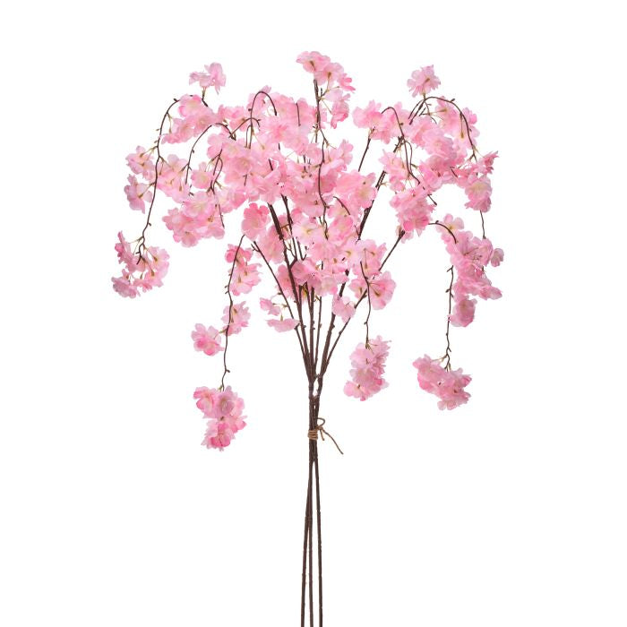 Three weeping cherry blossom branches in a bundle with white flowers.