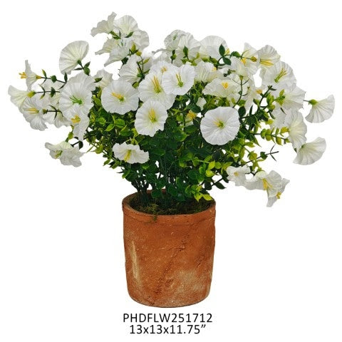 Small white petunia in a simple pot with dimensions 13 x 13 x 11.8 inches.