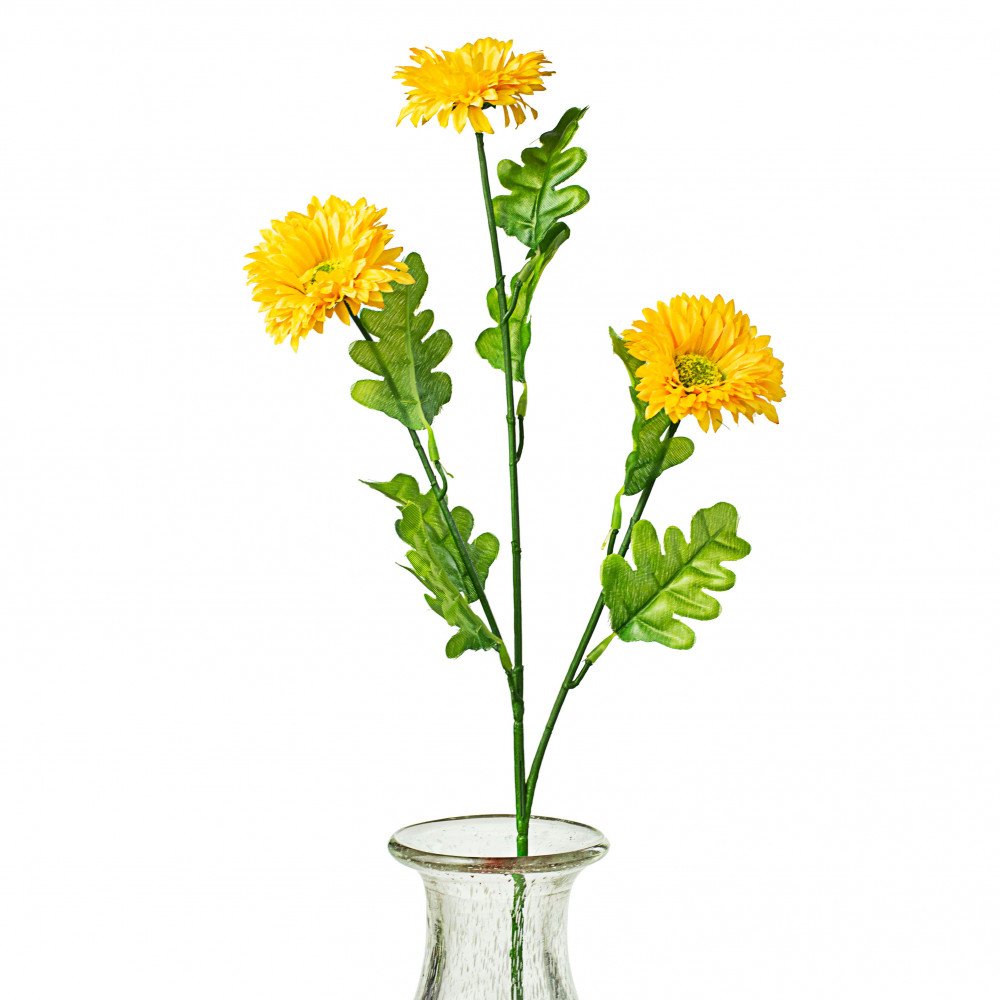 A single stem with three yellow gerber daisies and green leaves in a clear glass vase.