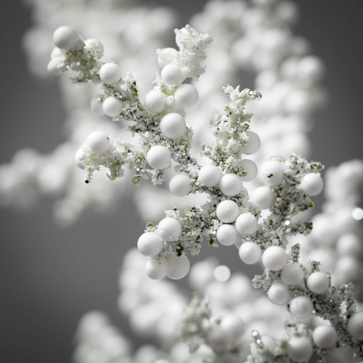 Close-up of a white frosted juniper berry spray with snowy texture and round berries.