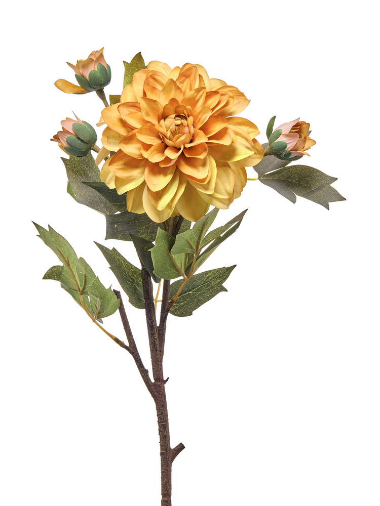 22-inch autumn dahlia spray with a large golden-orange bloom, three buds, and green leaves.