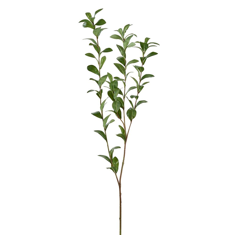 47-inch Ruscus Hypophyllum artificial plant in spray green polyester and plastic with wire frame.