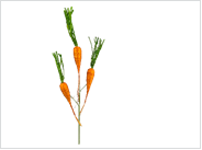 Carrot Pick decorative item with a tall slender silhouette in natural wood finish.