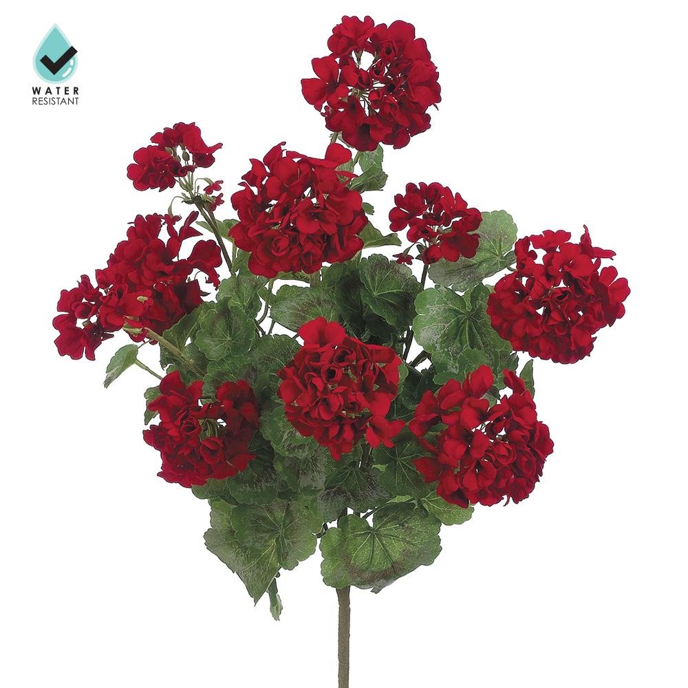 A potted geranium bush with vibrant red flowers in a simple container.