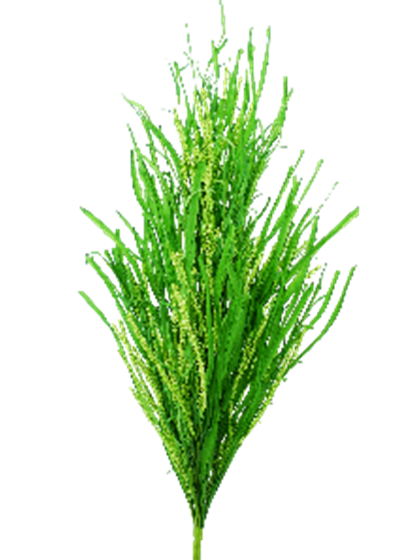 32-inch Berry Leaf Bush with green foliage in a natural bush silhouette.