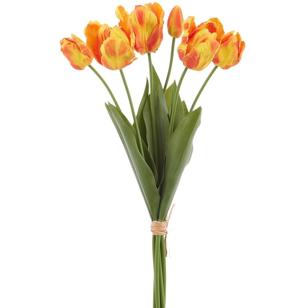 24 Inch Real Touch Parrot Tulip Bundle