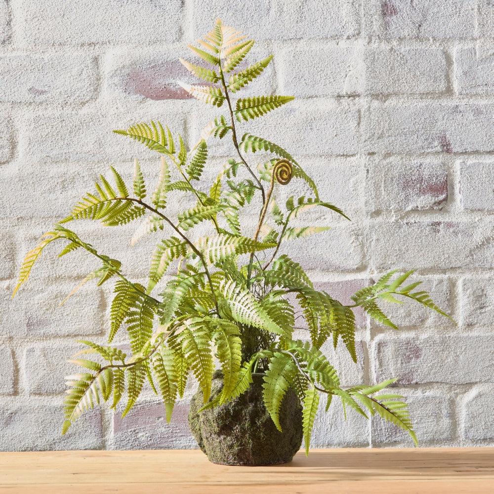 20" Fern Moss Drop In