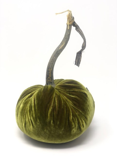 5" Velvet Pumpkin