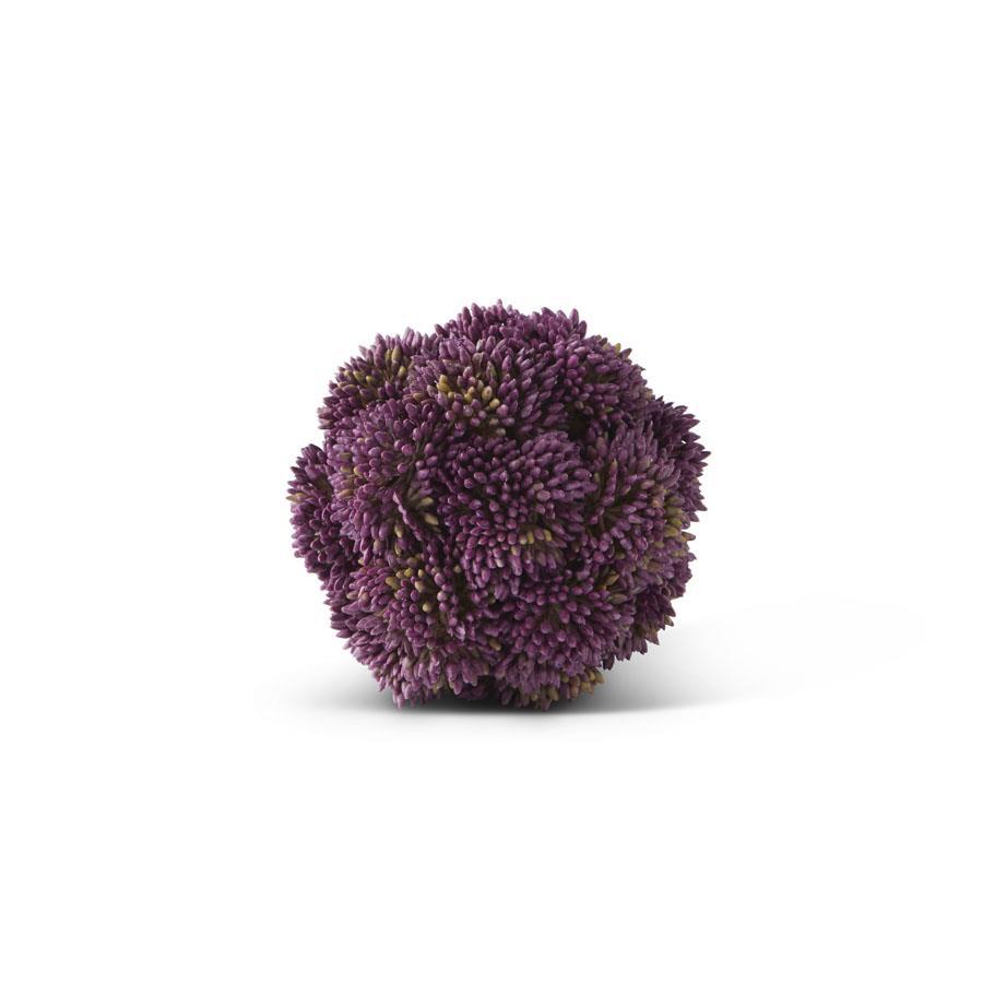 4-inch dark purple sedum ball succulent in plastic foam pot