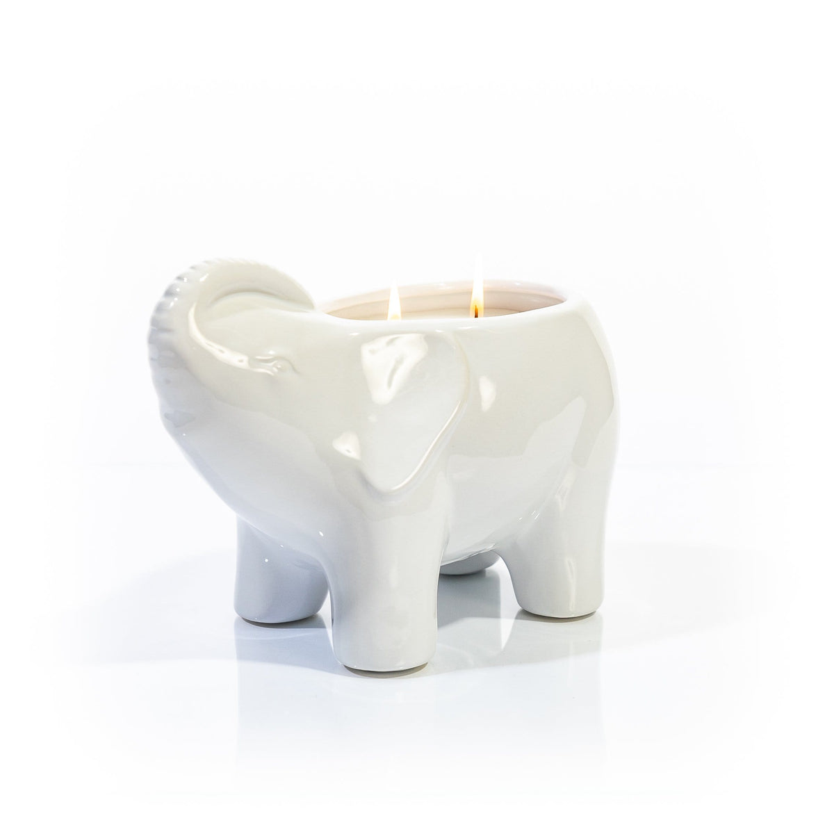 White Elephant candle in a white cylindrical container with an 8-inch height.