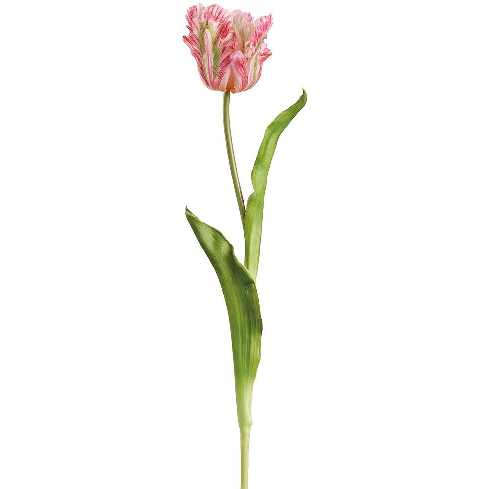 Real Touch tulip spray with plastic petals on iron wire stem in natural beige tones.