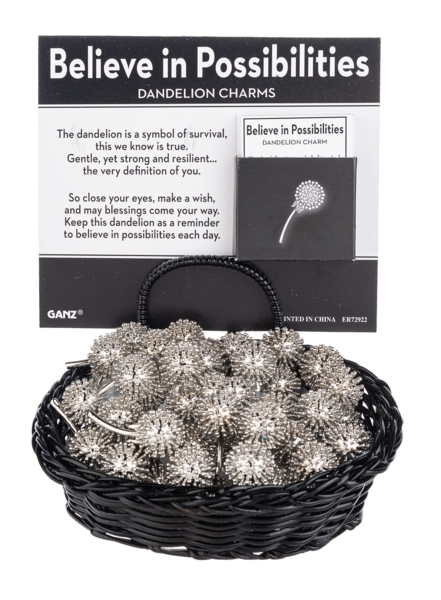 Silver dandelion charm with engraved text 'Believe in Possibilities' on a silver metal surface.