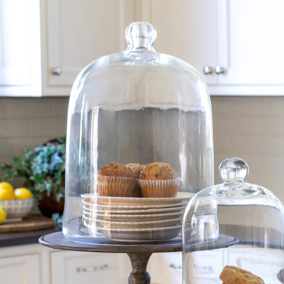 Clear glass extra-large bell jar with a cylindrical shape measuring 16 inches tall.