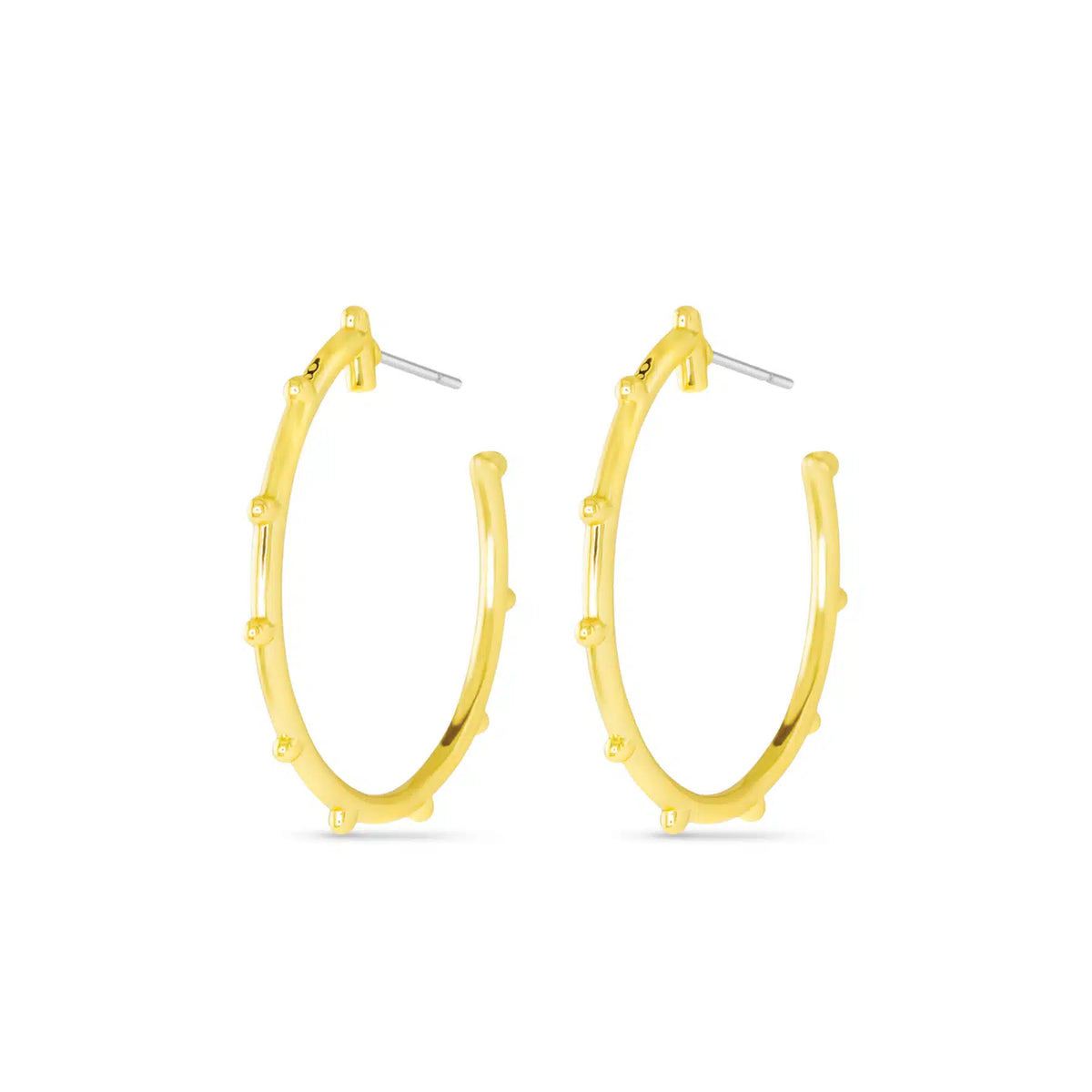 Pair of gold polished Dorthy hoop earrings with small decorative studs along the outer edge.