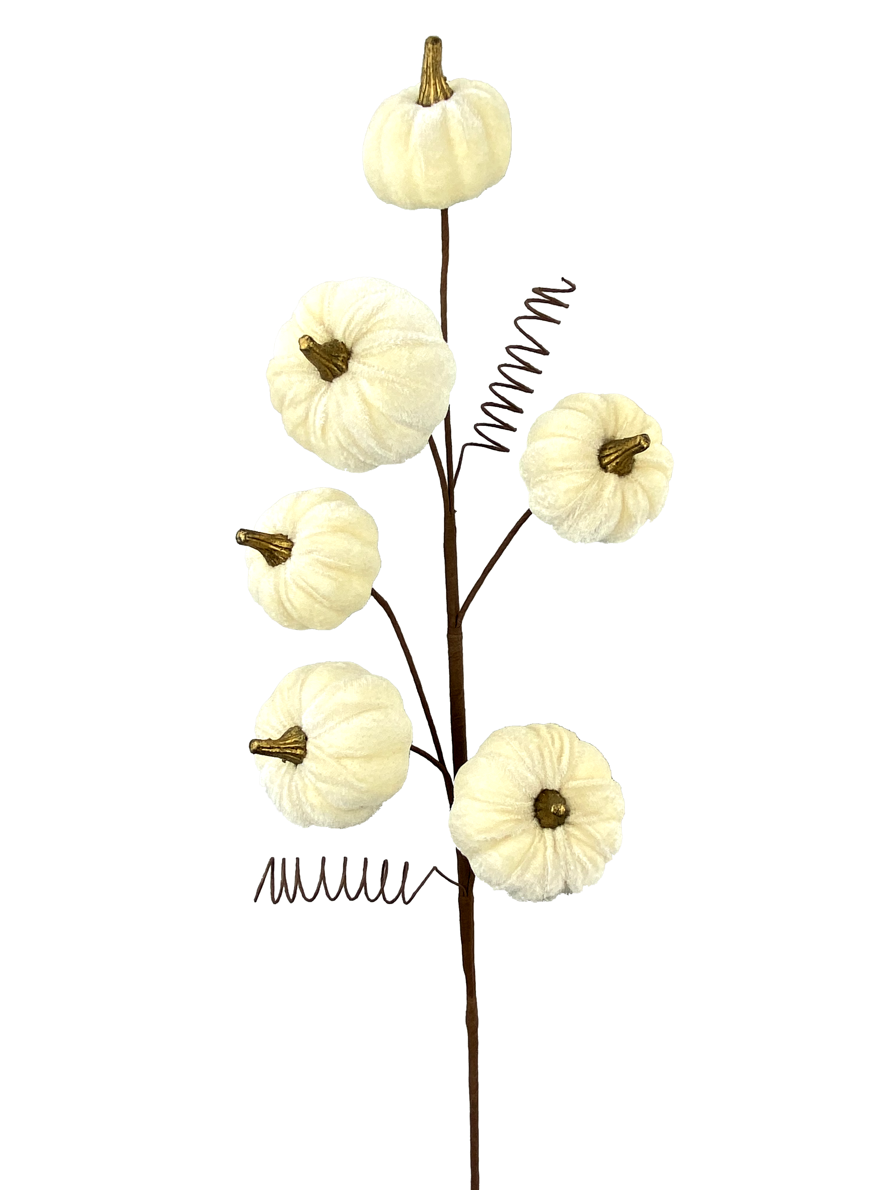 28-inch decorative spray featuring six cream-colored velvet pumpkins with gold stems.