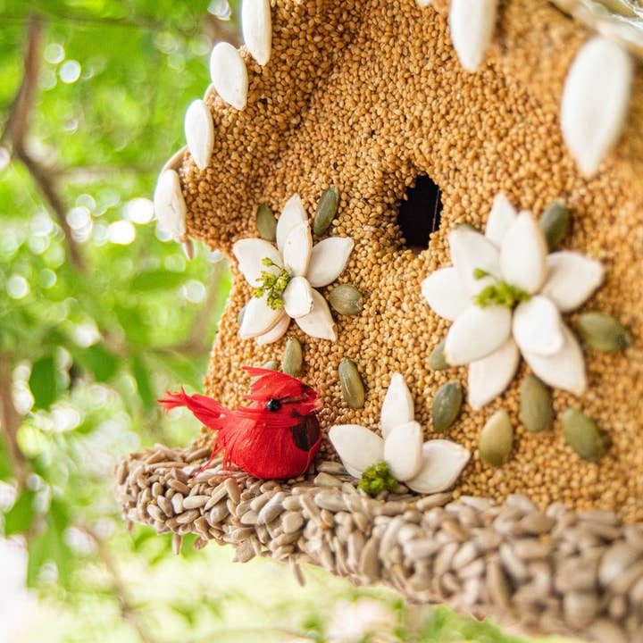 Hand-decorated Poinsettia House birdhouse with pumpkin seeds and canella berries on a premium seed coat.