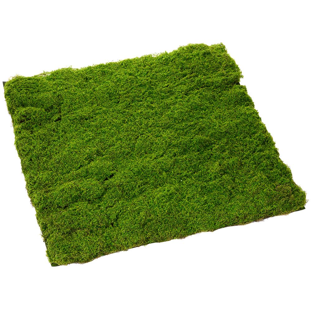 Moss Sheet Green plastic sheet with wire frame edges in a square shape.