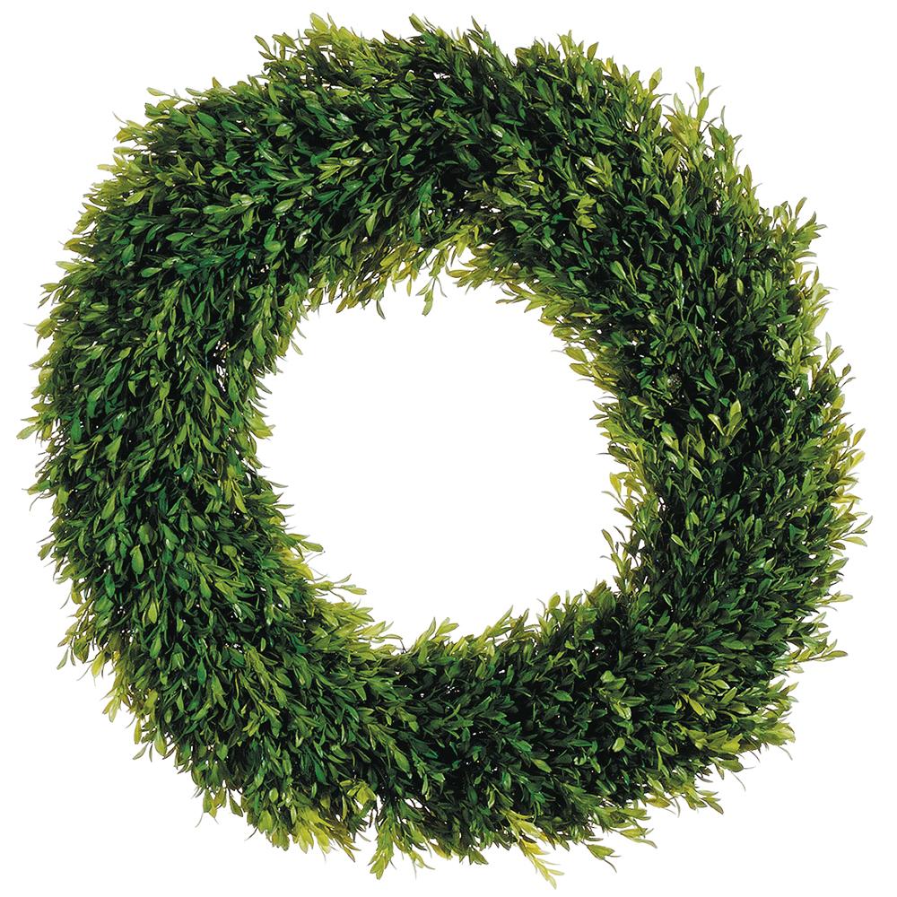 Green plastic wreath with Japanese Climbing Fern twig accents