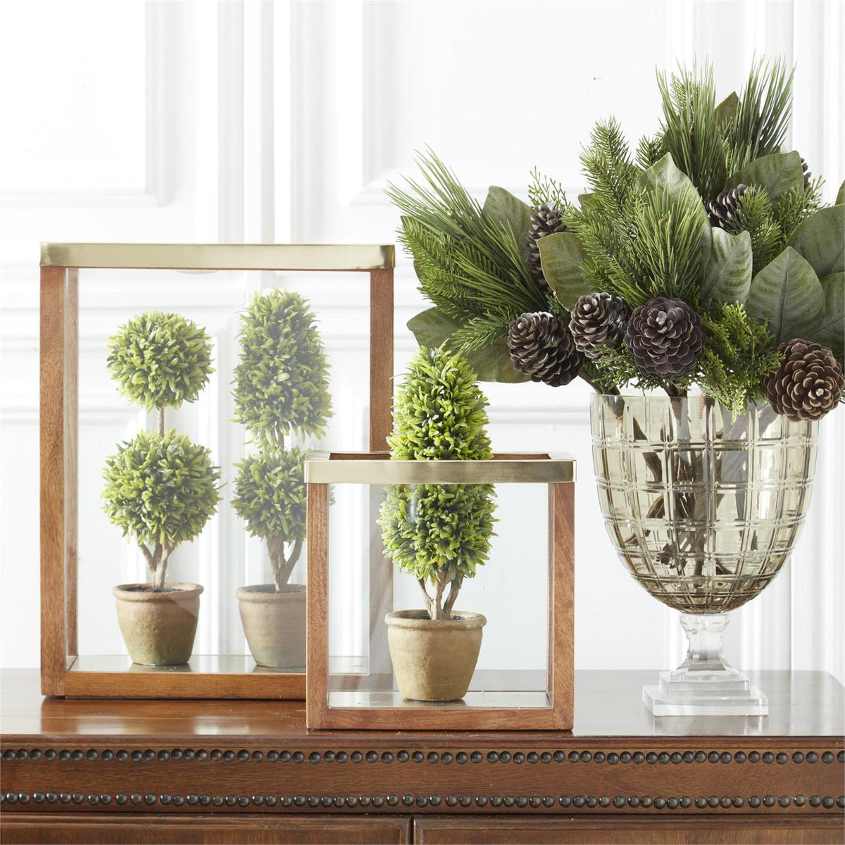 Three Podocarpus topiaries in small clay pots with plastic liners.