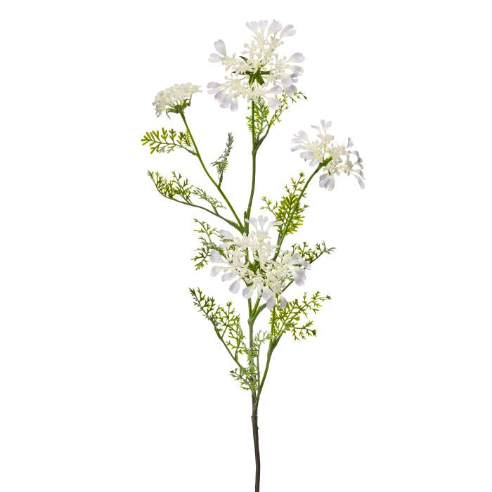 Field Yarrow stem vase with four stems inside a tall cylindrical container