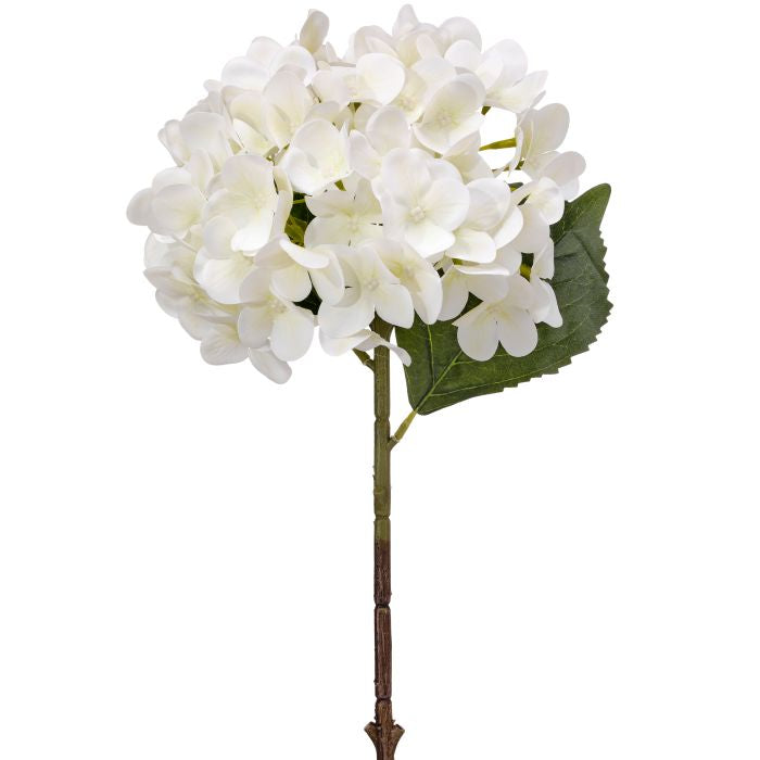 PE Hydrangea stem plant with green leaves in a white pot