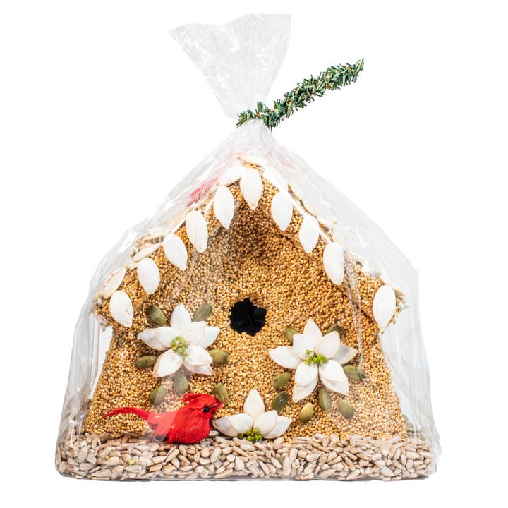 Hand-decorated Poinsettia House bird feeder with pumpkin seeds and canella berries.