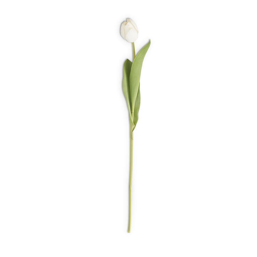 Single tulip stem arrangement in silk with real touch finish featuring polyester and PVC materials.