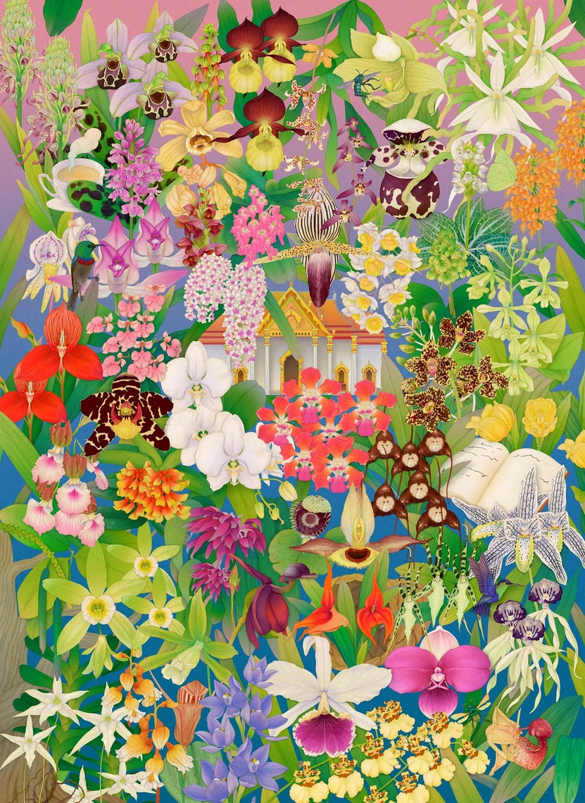 Around the World in 50 Orchids: A 1000-piece jigsaw puzzle box featuring a colorful global orchid pattern.