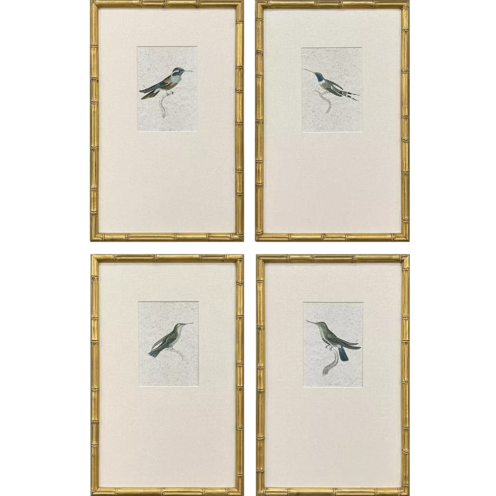 Antique-style hummingbird print on white paper showing a detailed bird silhouette in muted earth tones.