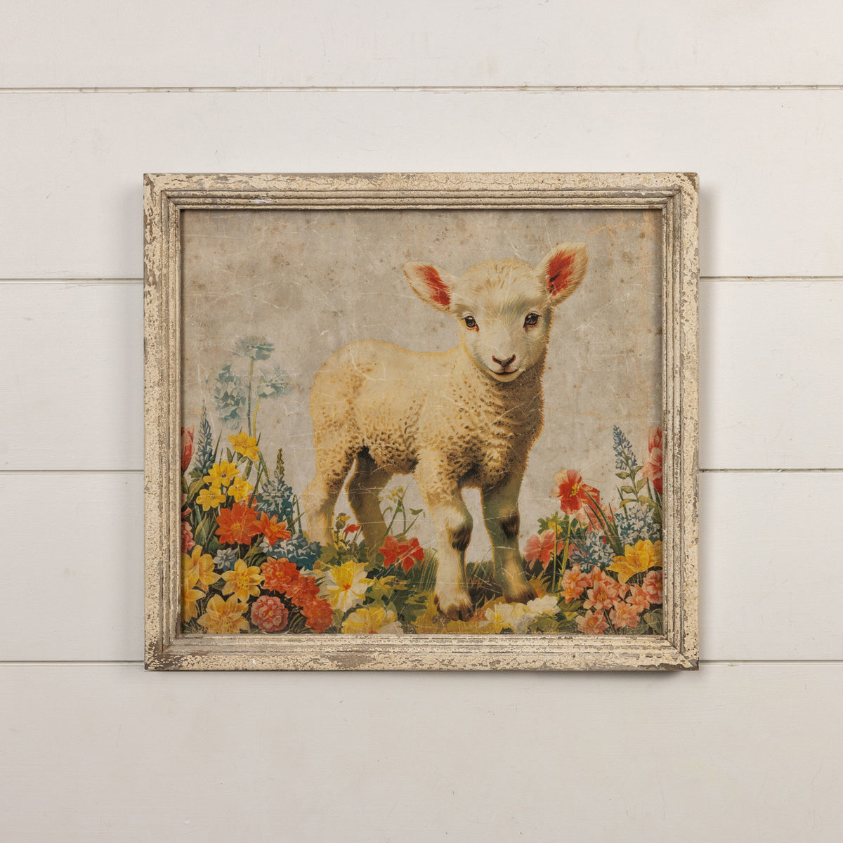 Framed print on glass showing a baby lamb standing in profile against a neutral background.