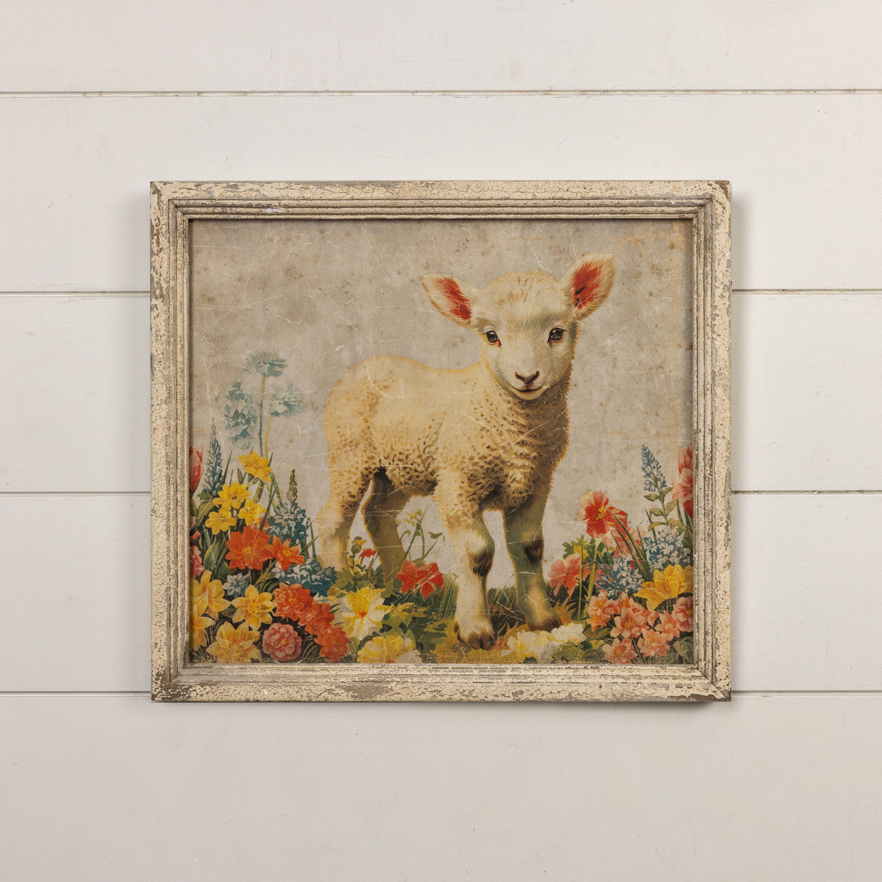 Framed print on glass showing a baby lamb standing in profile against a neutral background.