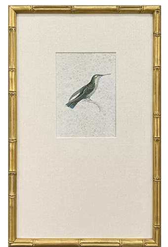 Antique Hummingbird Print SOLD INDIVIDUALLY