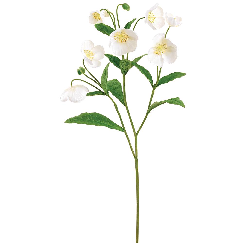 47 Inch Helleborus Spray