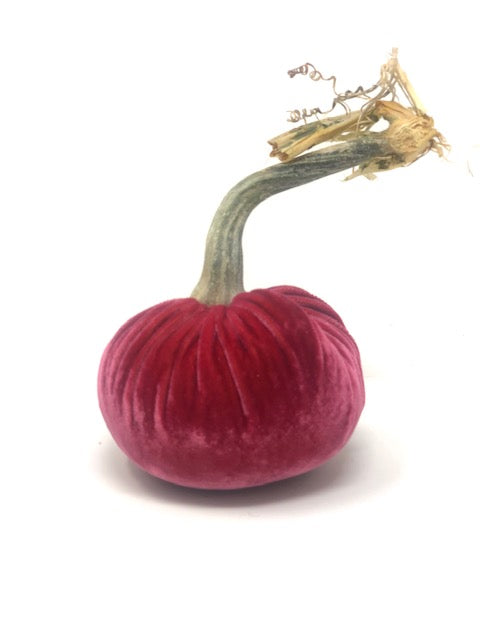 Handmade orange velvet pumpkin with a natural stem