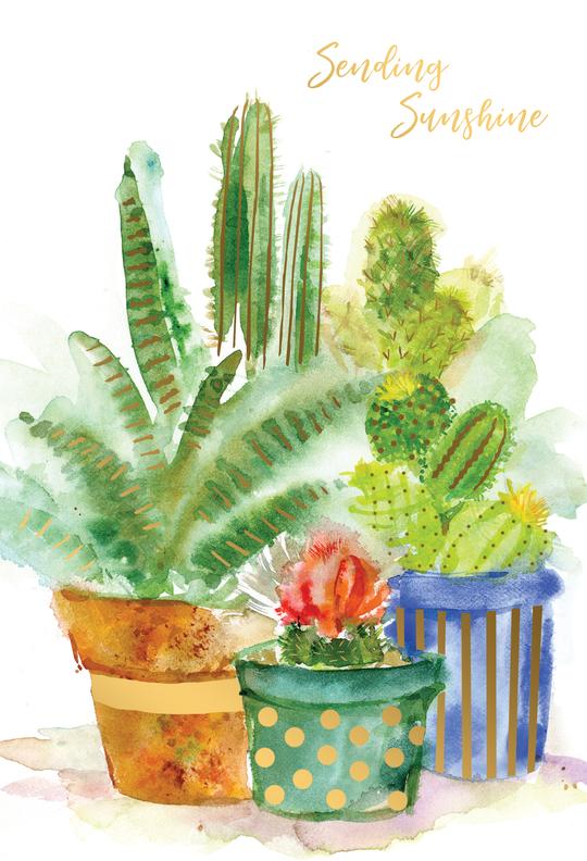 Watercolor greeting card with potted cacti and succulents, reads 'Sending Sunshine'.