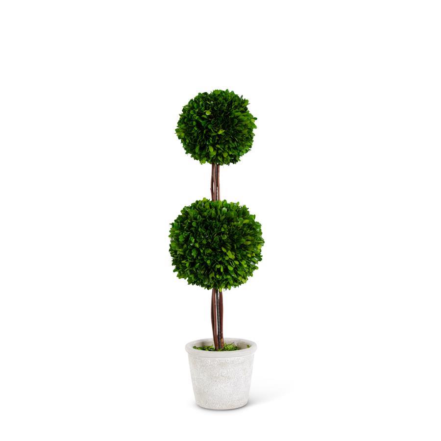 Double ball topiary made of preserved boxwood in a whitewashed pot