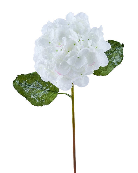 21-inch white hydrangea stem with two green leaves and a light dusting of artificial snow.