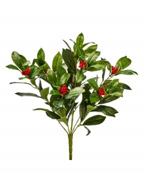 21-inch Laurel bush with green leaves, dusted edges, and clusters of red berries on a single stem.