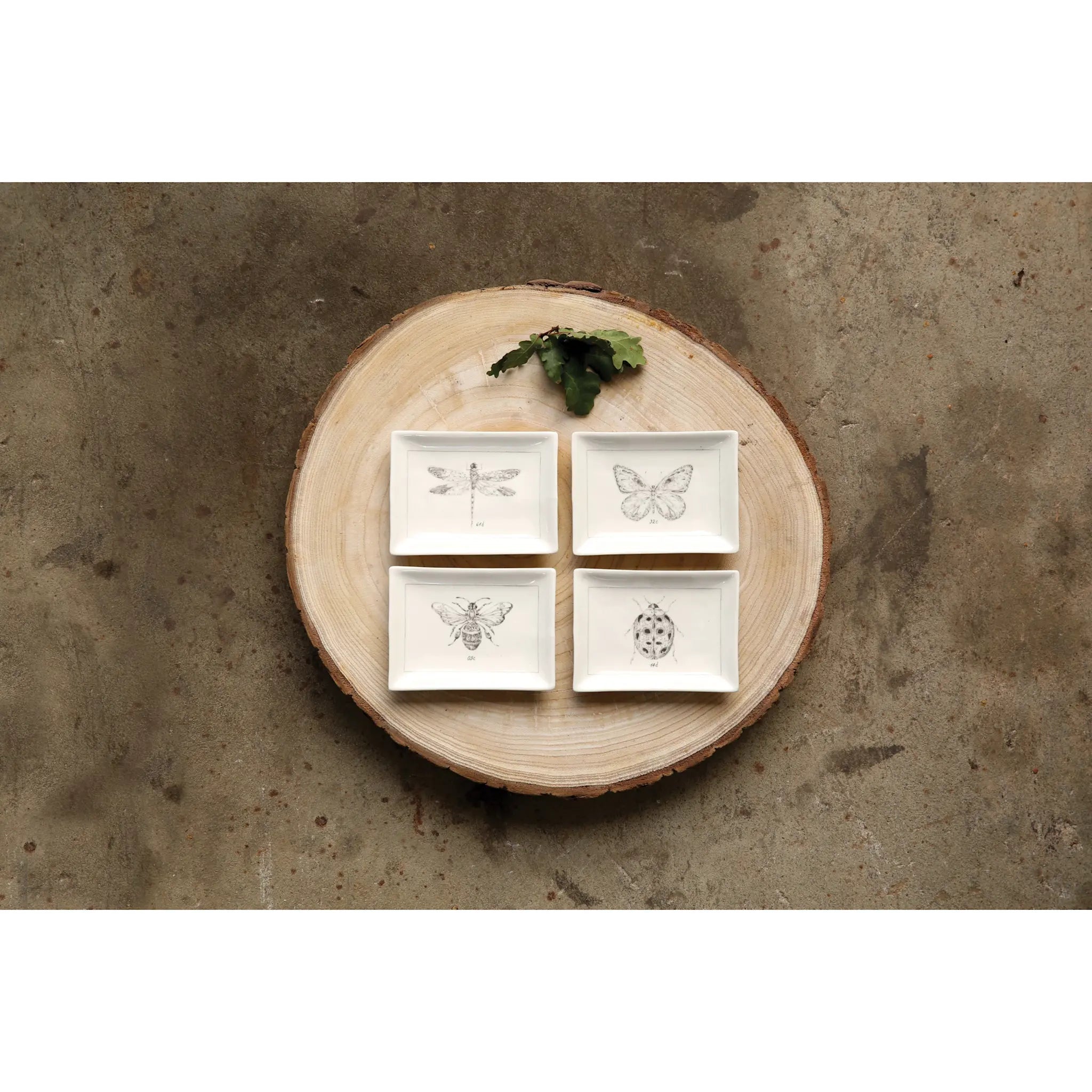 White ceramic dish with charcoal insect motif