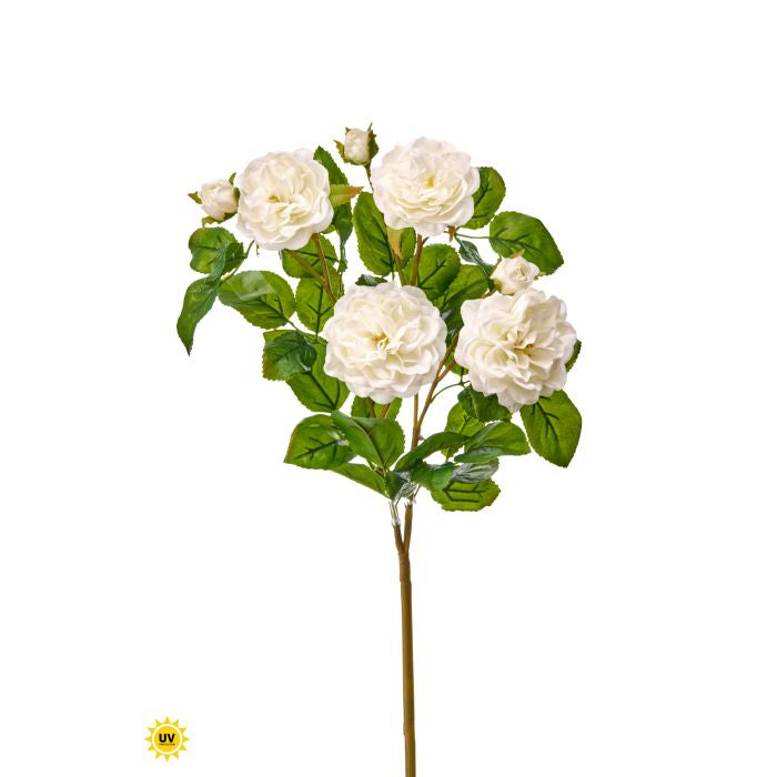 Natural touch rose plant with a 17-inch stem length and three-inch head width.